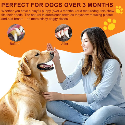 Tastyu 3pack) Beef Backbone Dog Treats Single Ingredient, Rawhide Bison Rib Bones Dog Chew Sticks for Large Dogs