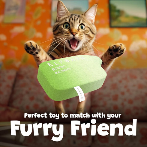 Funny Dog Toys with Squeaker, Cute Parody Dog Toys for Small, Medium, and Large Dogs, Dog Birthday Gifts, Mint