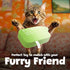 Funny Dog Toys with Squeaker, Cute Parody Dog Toys for Small, Medium, and Large Dogs, Dog Birthday Gifts, Mint