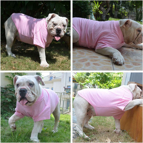 Lovelonglong Pet Clothing - Dog Costumes Basic Blank T-Shirt Tee for Small Dogs, Pink L