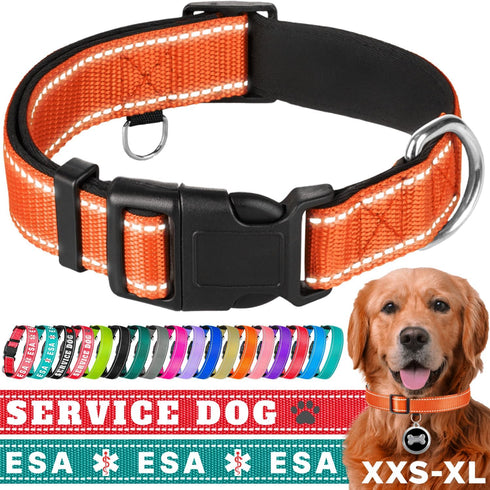 TECEUM Reflective Pet Collar – Orange L, Extra Soft Padding Basic Nylon Dog Collar with Quick Release Buckle