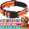 TECEUM Reflective Pet Collar – Orange L, Extra Soft Padding Basic Nylon Dog Collar with Quick Release Buckle