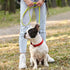 Dogline Biothane Waterproof Dog Leash, Strong Coated Nylon Webbing, 4 or 6 ft Lead for Small or Large Dogs