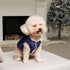 Fleece Lining Extra Warm Dog Hoodie, Small Dog Jacket with Hooded, Winter Puppy Coats, Blue XS