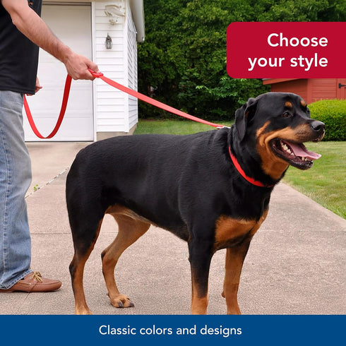 Coastal Pet Insta-Grip Control Handle Dog Leash, Adjustable Traffic Leash for Training, Blue, 1" x 6'