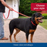 Coastal Pet Insta-Grip Control Handle Dog Leash, Adjustable Traffic Leash for Training, Blue, 1" x 6'