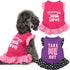 2 Pieces Dog Dresses for Small Dogs, Cute Girl Dress and Puppy Shirt Skirt, Summer Clothes Apparel for Dogs and Cats