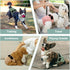 Washable Female Dog Diapers - Premium Reusable Diapers for Doggie in Heat - Highly Absorbent Dog Diapers Female for Pet