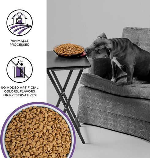 BIXBI Liberty Grain Free Dry Dog Food, Lamb Recipe, 4 lbs, No Fillers, USA Made