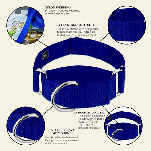 Country Brook Petz HossFit Jr Wide Martingale Dog Collar, Royal Blue, Large, No Buckle, Service Dog Collar
