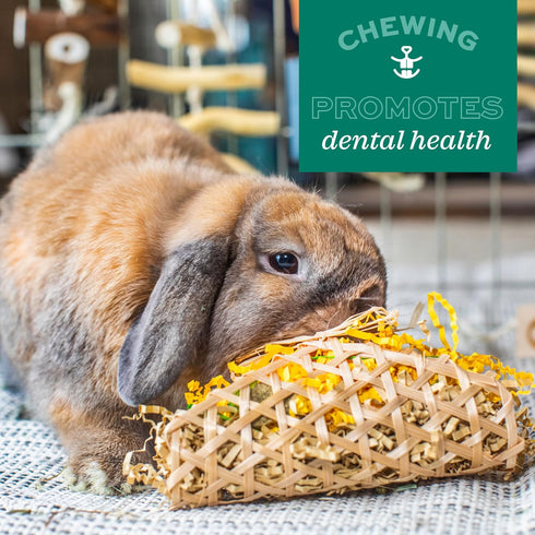 Chinchilla Oxbow Enriched Life Twisty Rings, Rabbit & Guinea Pig Toy, Hamster, & Rat Chew Rings, Small Pet Enrichment