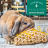 Oxbow Enriched Life Ox Blocks, Natural Wood Chew Toy for Rabbits, Guinea Pigs, and Hamsters, Promotes Dental Health