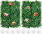 PINVNBY 2 PCS Hermit Crab Climbing Toys Hermit Crab Climbing Wall with