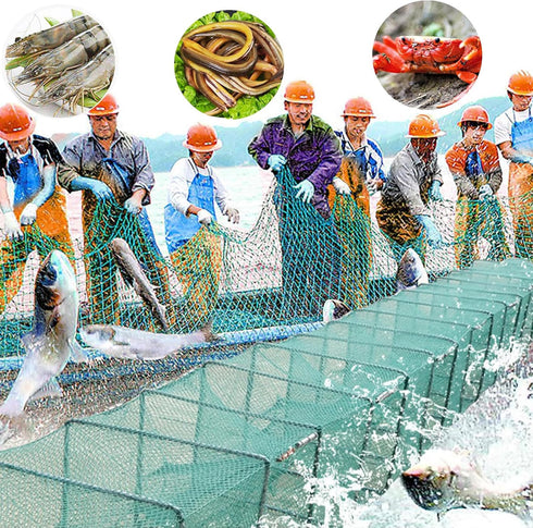 CINGHI LUSSO Foldable Crab Trap Crayfish Trap Crab Trap Fishing Device Integrated Fishing Trap Multiple Entrances Used