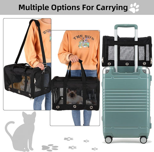 Soft Sided Cat/Dog Carrier, Collapsible Travel Carriers for Pets with Shoulder Strap & Removable Mat (Black, M)