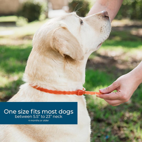 Wondercide Dog Collar - Flea, Tick, and Mosquito Repellent with Natural Essential Oils, Safe for Pets and Family, Up to