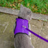 PUPTECK Soft Mesh Cat Vest Harness and Leash Set, Escape Proof Puppy Padded Pet Harnesses for Small Dogs, Purple Small