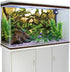 AWERT 48x24 inches Branches Aquarium Background, Aquatic Plant River Bed & Lake Fish Tank Vinyl Background.