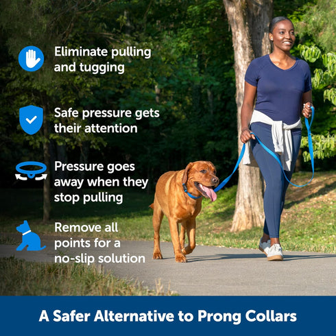 PetSafe Soft Point Training Collar - Helps Stop Pulling - Safer Than Prong or Choke Collars - Teaches Better Leash Manners - No Pull Training Collar with Rubber Points for Dogs - Medium, Black