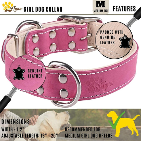 ADITYNA Heavy-Duty Pink Leather Dog Collar for Medium Dogs, Soft Lined Girl Collar for Walking, Training, Hiking