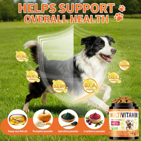 16-in-1 500 Omega-3, Dog Vitamins- Dog Vitamins and Supplements, Ct Multivitamin Supports Daily Energy, Heart Health