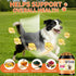 16-in-1 500 Omega-3, Dog Vitamins- Dog Vitamins and Supplements, Ct Multivitamin Supports Daily Energy, Heart Health