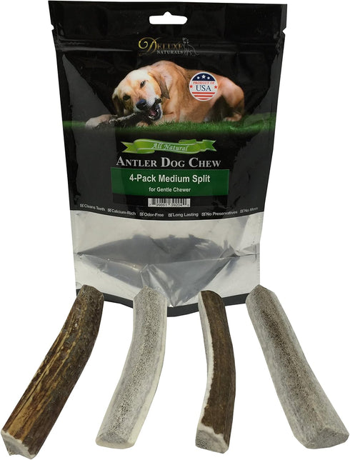 Elk Antler Dog Chews | Premium A-Grade Long-Lasting Chews from Naturally Shed Elk Antlers, Medium (Pack of 4)