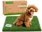 THREE ORANGES Washable Artificial Grass Pads for Dogs, 2-Pack 14x18 in Reusable Turf Mats,