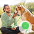 18 Pieces Dog Leash Slip Leads with O-Ring, 6 Feet for Small Medium Large Dogs – Grooming Shelter Rescues Walking