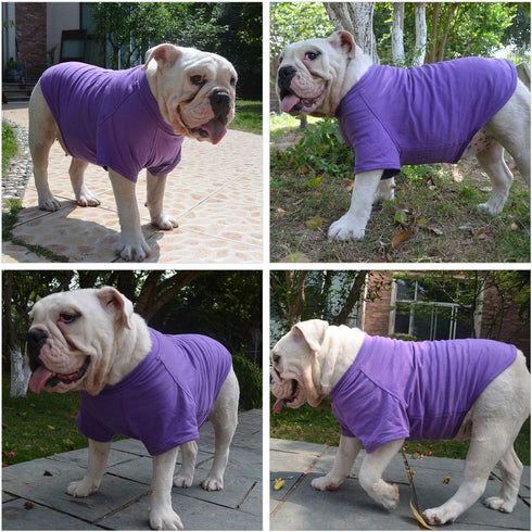 Lovelonglong Bulldog Clothes - Blank T-Shirt Tee for French Bulldog, English Bulldog, American Pit Bull, Pugs - Purple