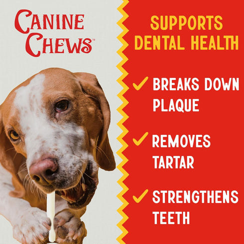 Canine Chews 10-11" Retriever Stick Rolls Rawhide for Dogs, 20 Pack of Skinny Sticks for Small Aggressive Chewers