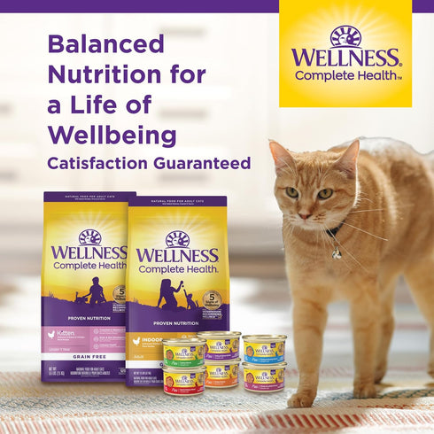 Wellness Complete Health Grain-Free Wet Canned Cat Food, Seafood Pate Favorites Variety Pack, 3 Ounce Can (Pack of 12)