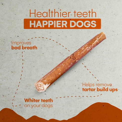12 inch 3 100% Raw Dog Bully Sticks All-Natural Dog Treats, Monster Size, pk, Beef, Grass Fed, Non-GMO, Premium Odor