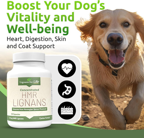 10mg Lignans For Life HMR LIGNANS Capsules - Perfect for Small Dog Breeds - Vitamin for Healthy Pet | Multivitamin |
