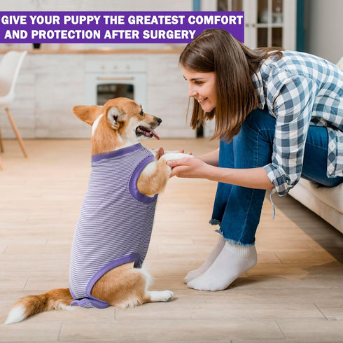 Dog Surgery Recovery Suit, Spay Neuter Onesie for Male Female Dogs, Cone Alternative, Purple, Medium