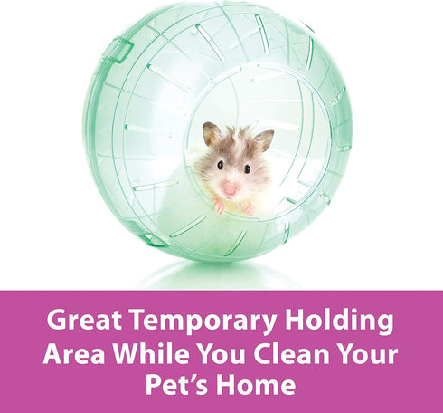 13" Chinchillas Kaytee Clear Run-About Exercise Ball For Pet Rats