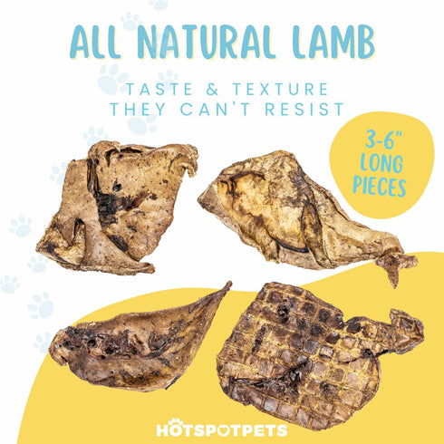 Hotspot Pets Premium Lamb Lung Dog Treats - 1lb Big Bag, All-Natural, High Protein, Made in USA