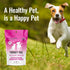 Immunity 100 3.5 oz Om Mushroom Matrix Pet - Canine | Turkey Tail | USA Grown Human-Grade Organic Mushroom Powder Pet