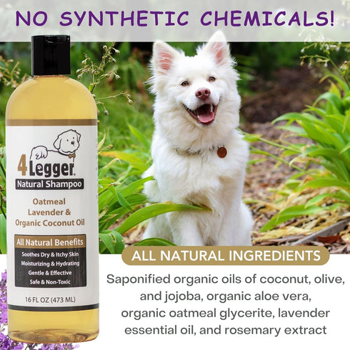 4Legger 16 oz All Natural Organic Oatmeal Dog Shampoo for Itchy Skin with Aloe, Coconut & Lavender Essential Oil