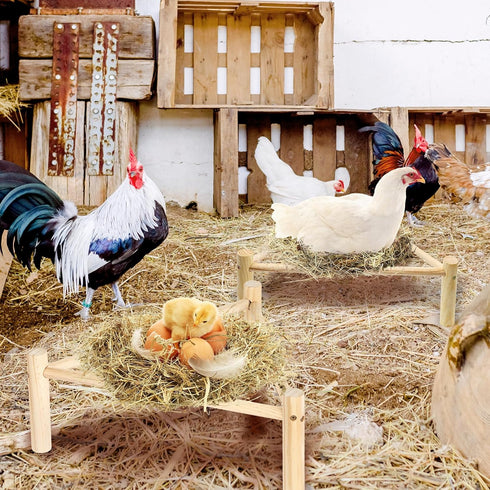 2P Chicken Perch for Coop & Brooder, Pine Wooden Chicken Toys & Coop Accessories for Chicken Triangular Gym Roosting