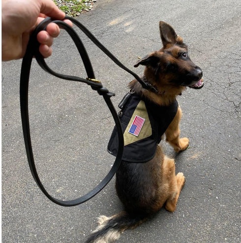 Ravenox Latigo Leather Dog Leash | Burgundy (1/2-inch x 6-feet) | USA Amish Made for Small to Medium Dogs