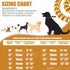 Dog Chain Collar 15mm 19mm Thick with Quick Release Buckle 18K Gold for Small Medium Large Dogs (19MM, 26")