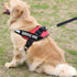 4 PCS Tactical Dog Patches with Hook Backing, Reflective SERVICE DOG and IN TRAINING Tags
