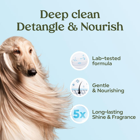 Pawfume Dog Shampoo and Conditioner, Hypoallergenic Probiotic Pet Shampoo for Smelly Dogs, Best for Puppies (Blue