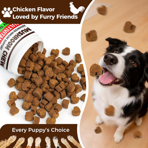 BevinMugford 170 Count Immune Turkey Tail Mushroom for Dogs, Mushroom Chews for Dogs, Chicken Flavor Mushroom