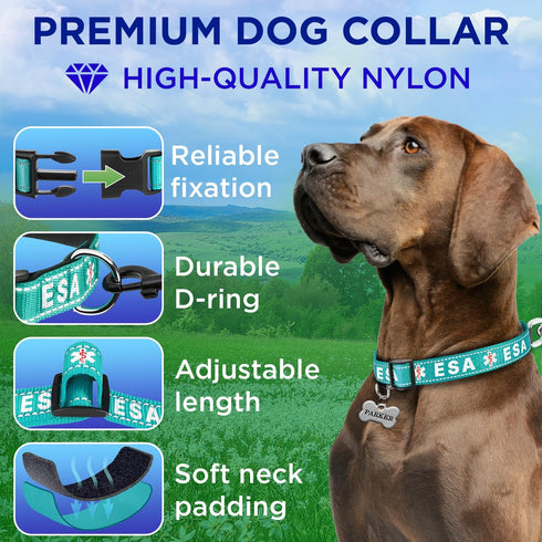TECEUM Reflective Teal Pet Collar, M, Extra Soft Padding, Basic Nylon Dog Collar with Quick Release Buckle