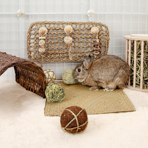 andwe Small Animals Play Balls, Rolling Chew Toys & Gnawing Treats for Rabbits, Guinea Pigs, Pack of 4