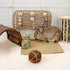 andwe Small Animals Play Balls, Rolling Chew Toys & Gnawing Treats for Rabbits, Guinea Pigs, Pack of 4
