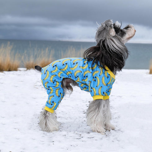 CuteBone Soft & Stretchy Dog Pajamas - Cozy Breathable Jumpsuit for Small Dogs - All-Season Easy-On Pullover Design P06S