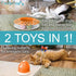 2 1 Recommended Caroline's Cats Automatic Butterfly Cat Toy Interactive in with Auto Shut Off & Catnip Ball Track;